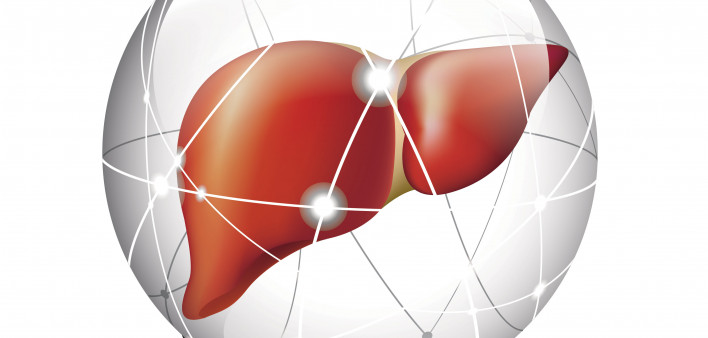 liver in sphere illustration