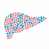 illustration of pills in shape of liver