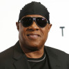 Stevie Wonder