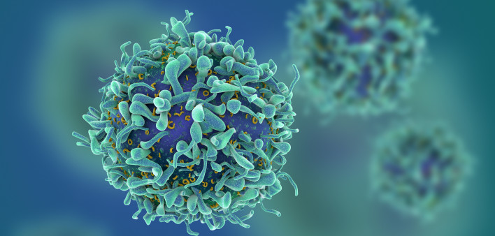 T-cell