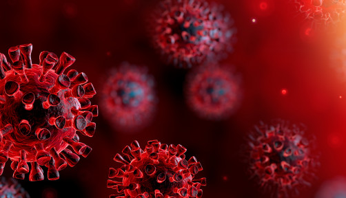 coronavirus
