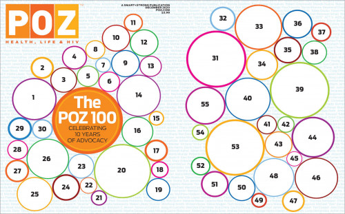 legend of cover images POZ 100