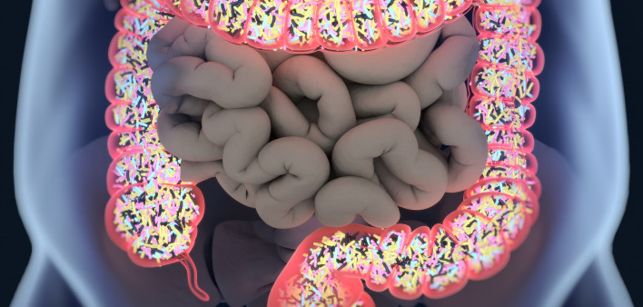 ilustration of intestines showing bacterium