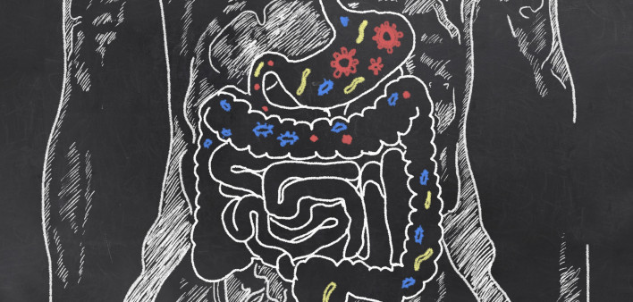 gut-bacteria