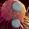 T cells attacking cancer cell
