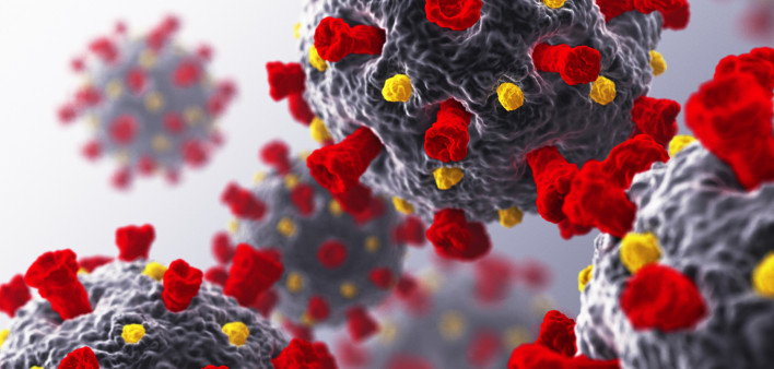 coronavirus