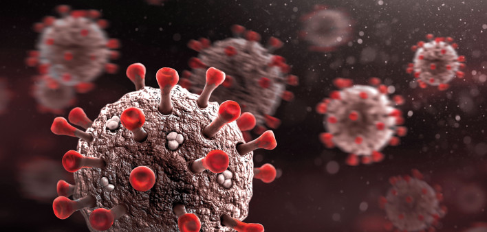 coronavirus