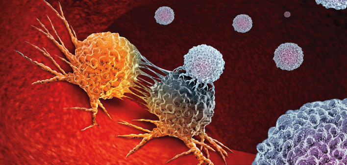 Cancer Immunotherapy as a human immune system therapy concept as a biomedical or biomedicine oncology treatment using the natural T cell fighting properties of the body as a 3D render.