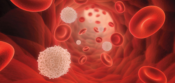 illustrarion of blood cells