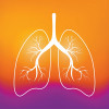 illustration outline of lungs