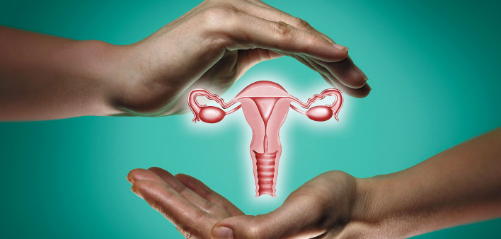 hands and female reproductive system illustration