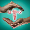 hands and female reproductive system illustration