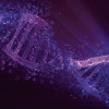illustration DNA helix