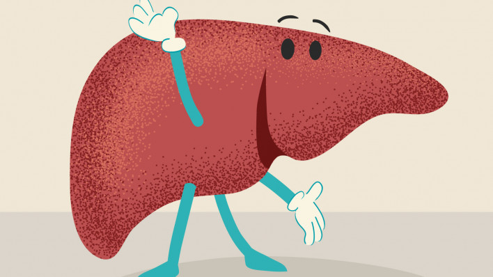 happy liver illustration