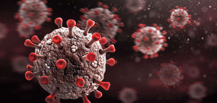 coronavirus