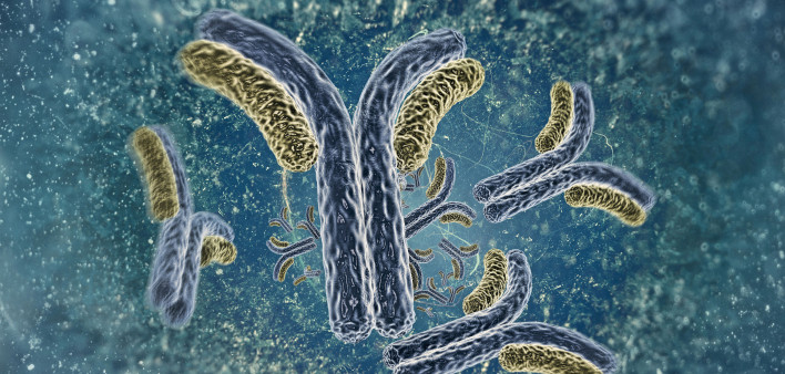 antibodies illustration