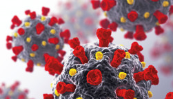 coronavirus