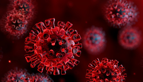 coronavirus