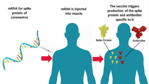 mRNA COVID-19 coronavirus vaccine