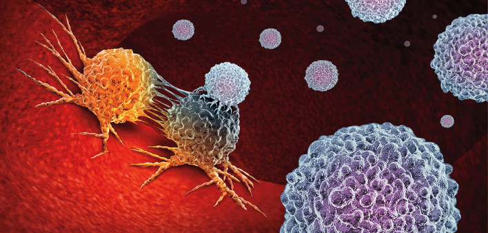 Cancer Immunotherapy as a human immune system therapy concept as a biomedical or biomedicine oncology treatment using the natural T cell fighting properties of the body as a 3D render.