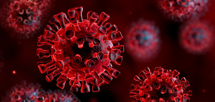 coronavirus