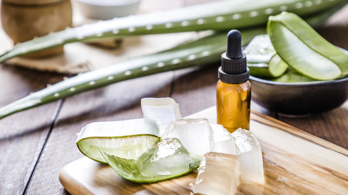 aloe vera
