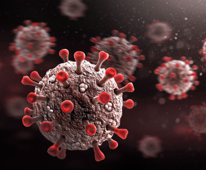 coronavirus