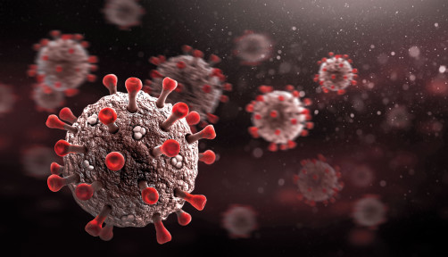 coronavirus