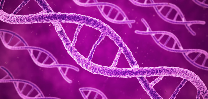 DNA-pink