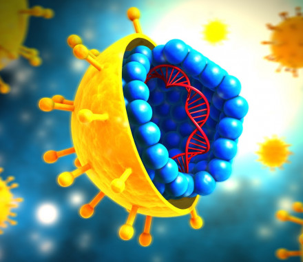 hepatitis C, hep C, HCV