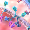 Chimeric antigen receptor T-cell (CAR-T) therapy
