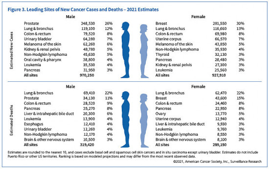 cancer, American Cancer Society