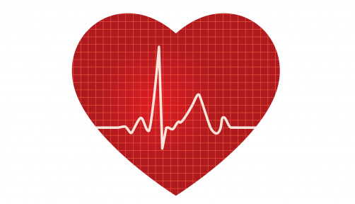 heart illustration with heart rythum
