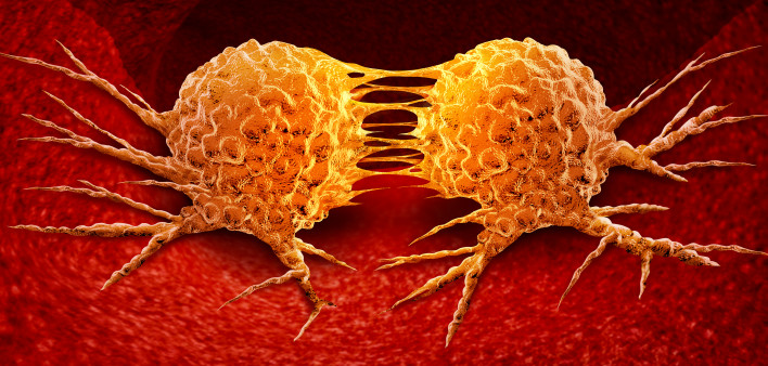 Dividing cancer cell metastasis