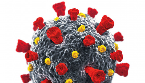 coronavirus