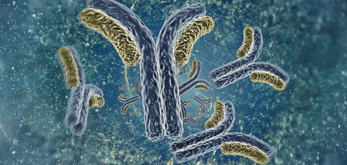 antibodies illustration