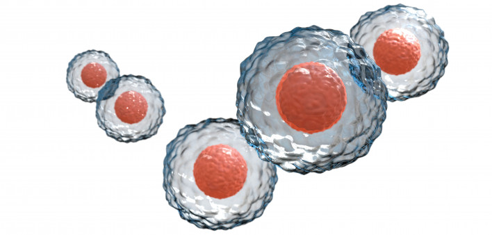 Stem cells on white bg