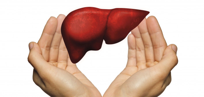 hands and liver illustration