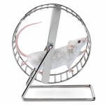 white mouse on wheel