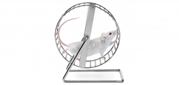 white mouse on wheel
