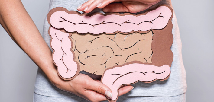 womans hands holding illlustration on intestines