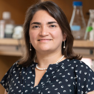 Marcela Maus, MD, PhD