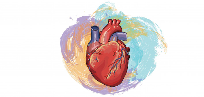 colorful illustration of a heart
