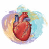 colorful illustration of a heart