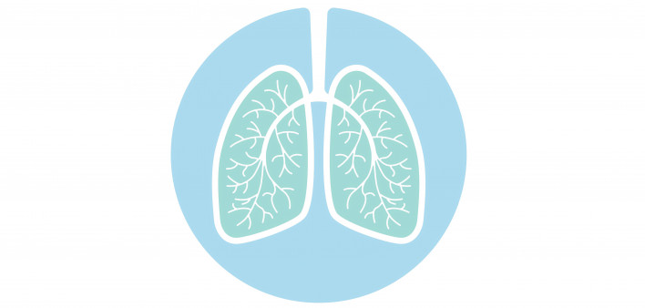 illustration of lungs