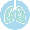 illustration of lungs