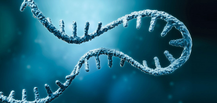 Messenger RNA or mRNA strand 3D rendering illustration