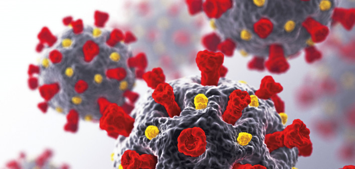 coronavirus