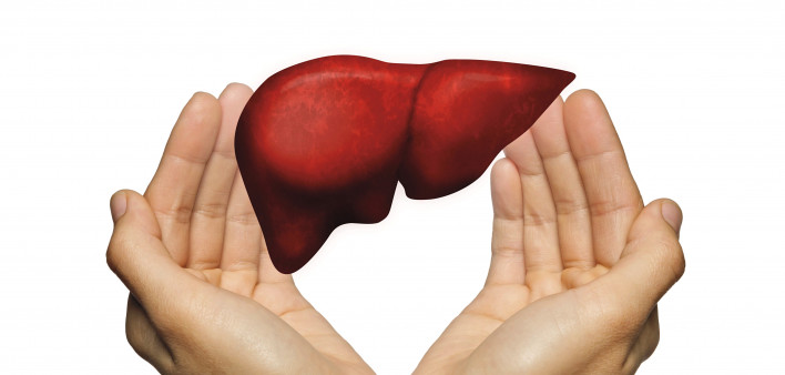 hands and liver illustration