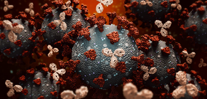 Monoclonal antibodies or immunoglobulin fighting against a group of coronavirus or covid cells